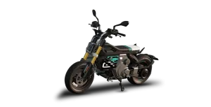 Renting BMW CE 02